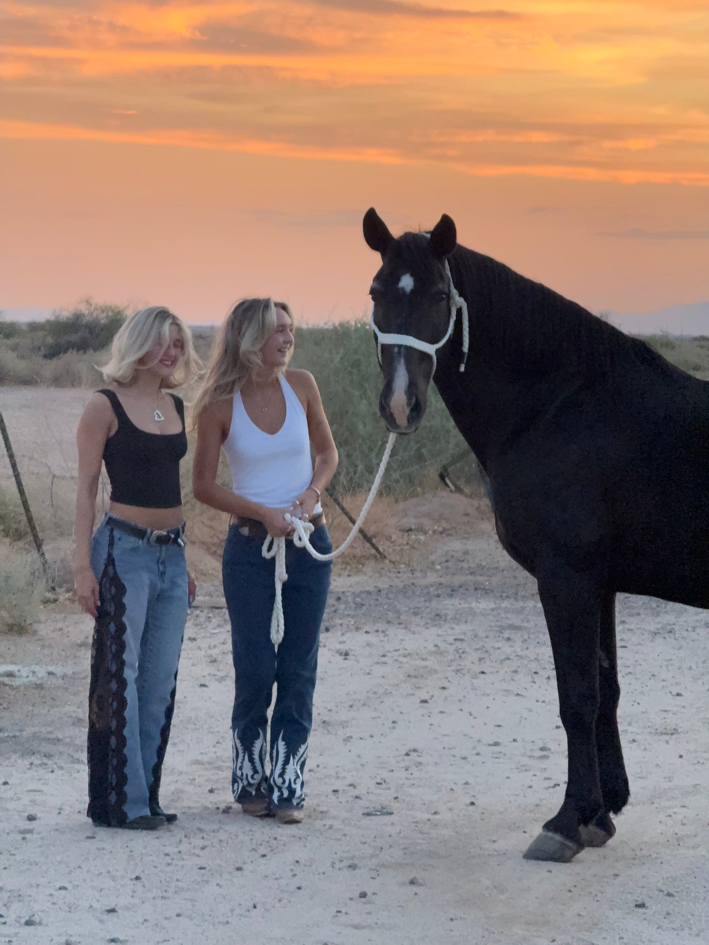 The Ashley Jeans